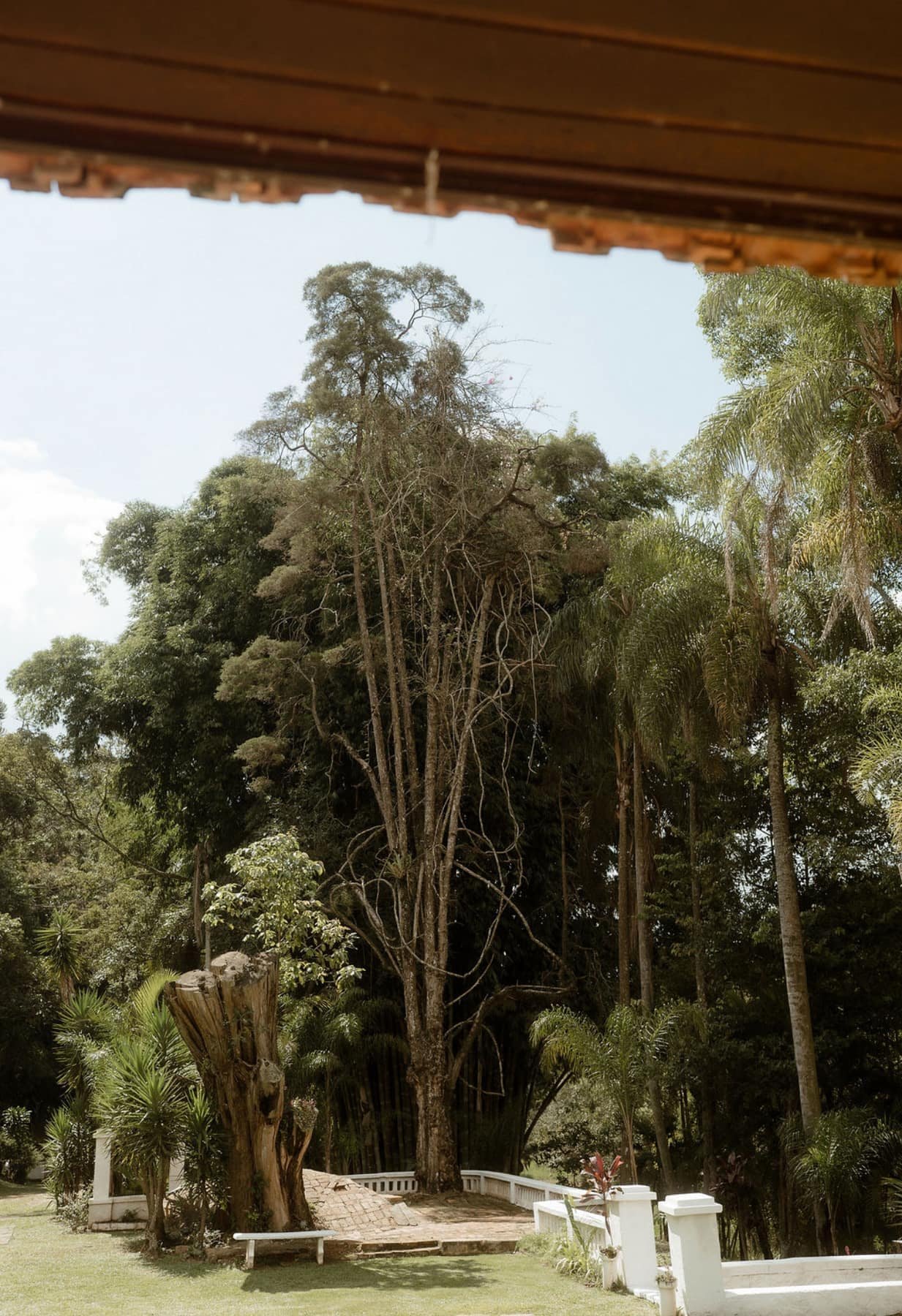 Jardim da Fazenda com árvores e banco